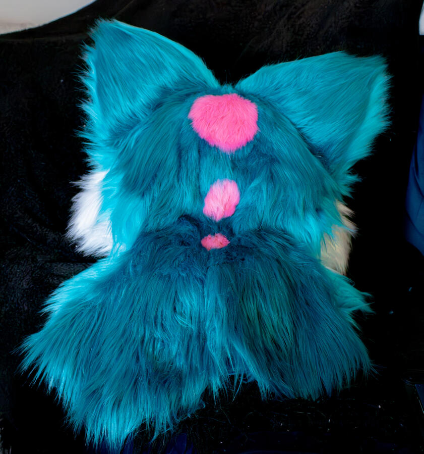Candy Fox (Back) Candy Fox (Back)