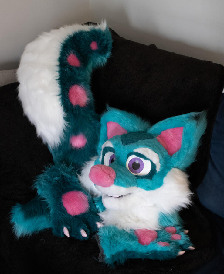 Candy Fox Partial Candy Fox Partial
